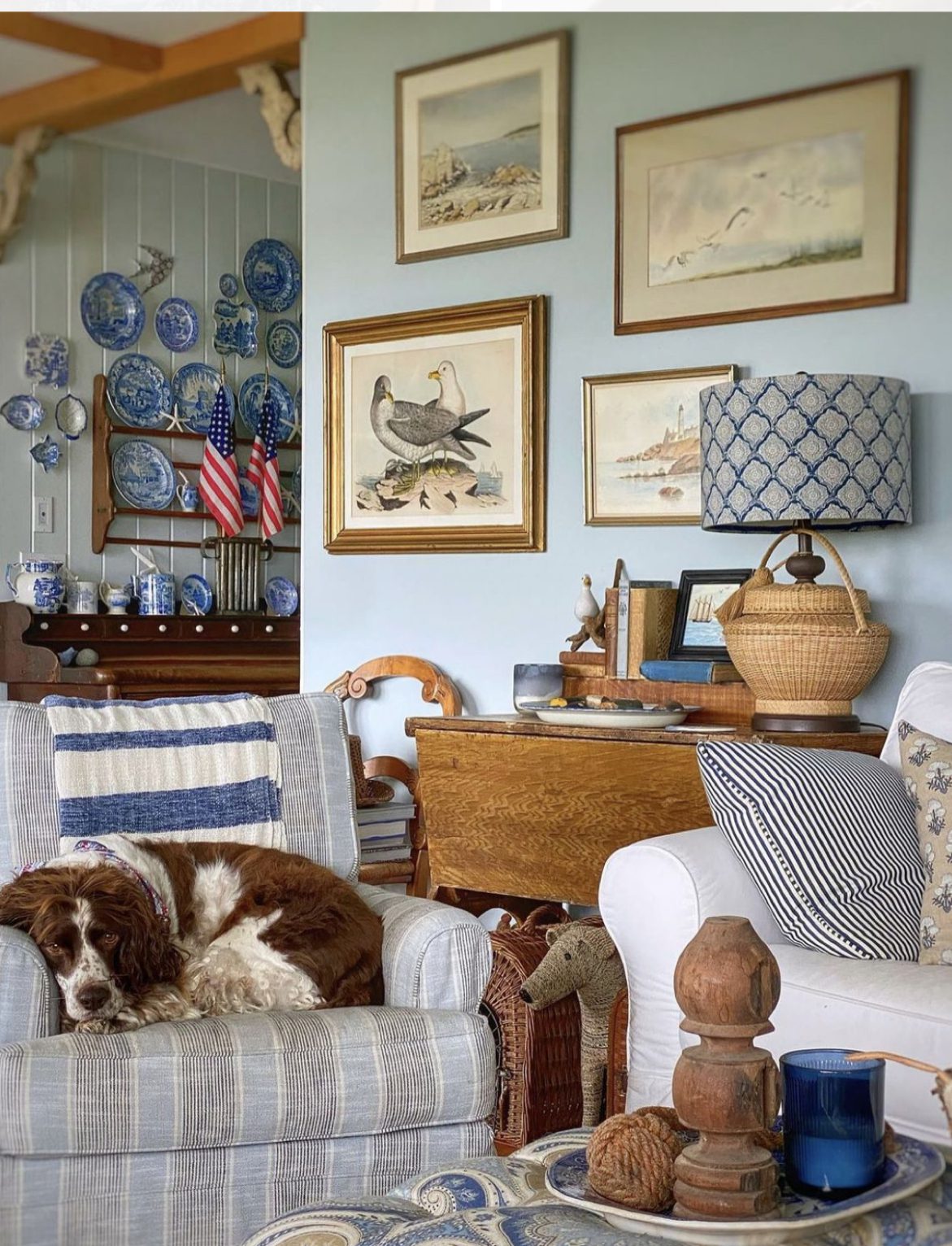 Cozy living room with a dog, vintage decor, and wooden furniture.