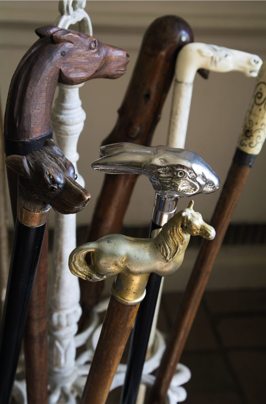 Vintage walking canes with animal-shaped handles.
