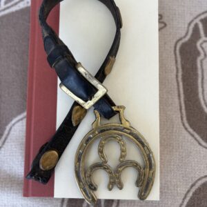 A vintage horseshoe-shaped pendant on a black leather strap.