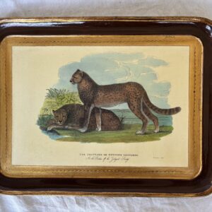 Vintage framed illustration of a wolf standing on rocks with a scenic background.