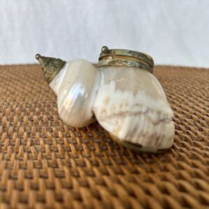 Close-up of a small seashell with pearl-like texture on a woven surface.